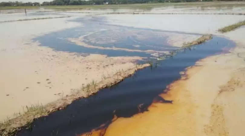 Oil Spill in Sivasagar district | TNT Photo